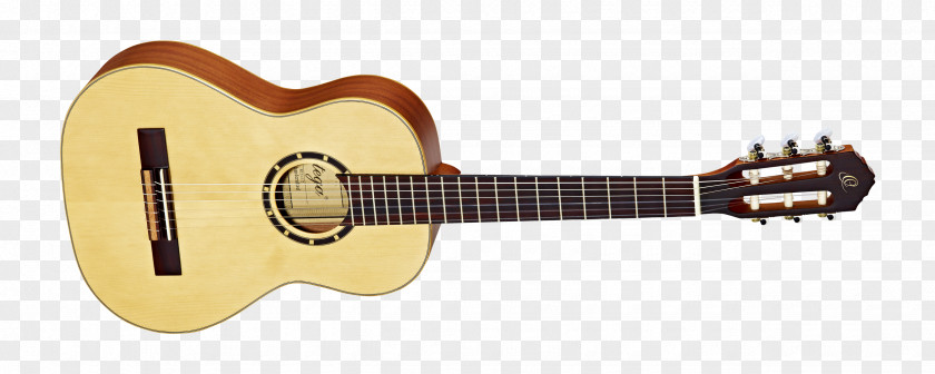 Amancio Ortega Steel-string Acoustic Guitar Ibanez Cort Guitars PNG