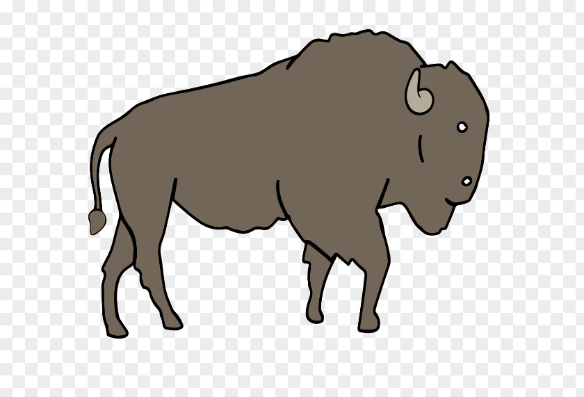 Bison Cattle Bull Ox Mane PNG