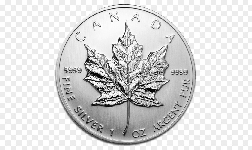 Canada Canadian Silver Maple Leaf Gold Bullion Coin PNG