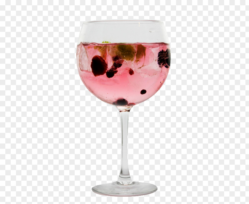Gin Wine Cocktail Glass Champagne Garnish Pink Lady PNG