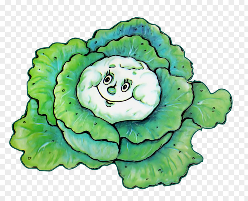 Hand-painted Cabbage Drawing Leaf Vegetable Clip Art PNG