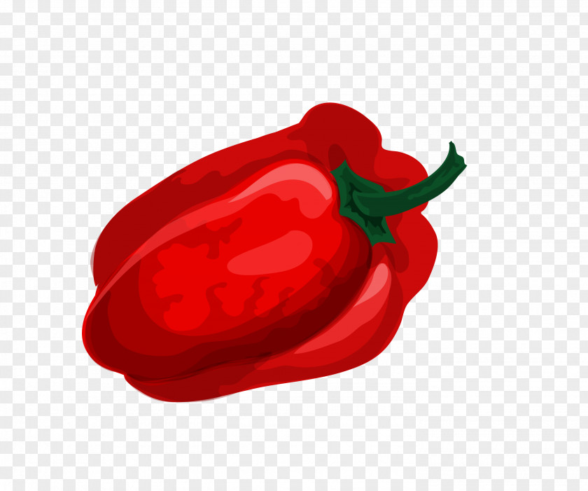 Red Pepper Bell Chili Vegetable PNG