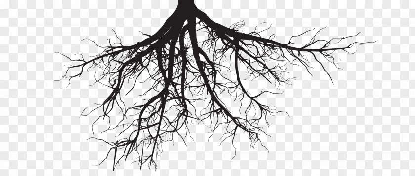 Root Silhouette Tree Royalty-free PNG