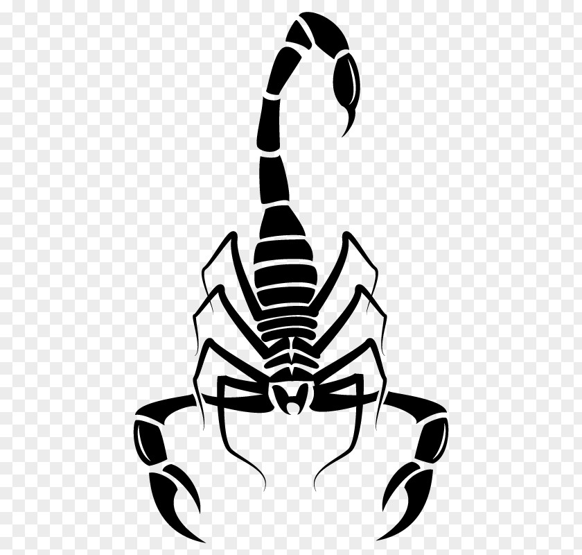 Scorpions Scorpion Euclidean Vector Download PNG
