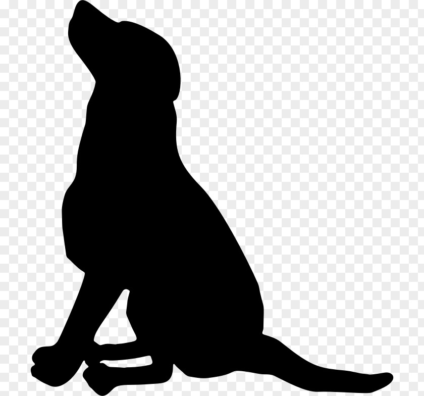 Sitting Clipart Labrador Retriever Pet Scotch Collie Greyhound Clip Art PNG