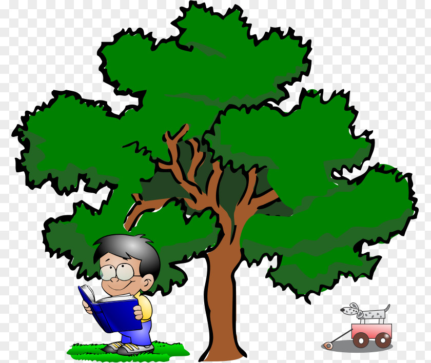 Branches Clipart Tree Clip Art PNG