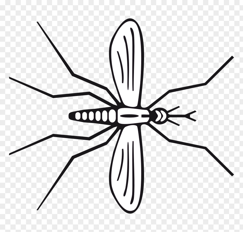 Mosquito Insect Pollinator Line Art Clip PNG