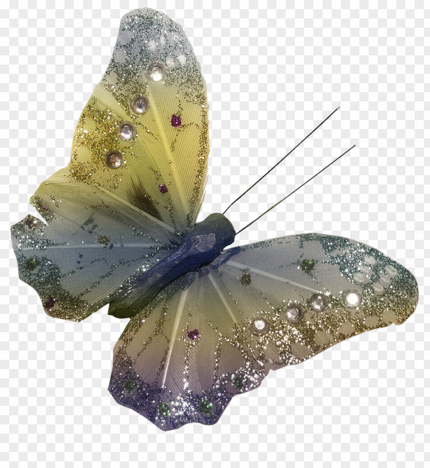 Butterfly PhotoScape Clip Art PNG