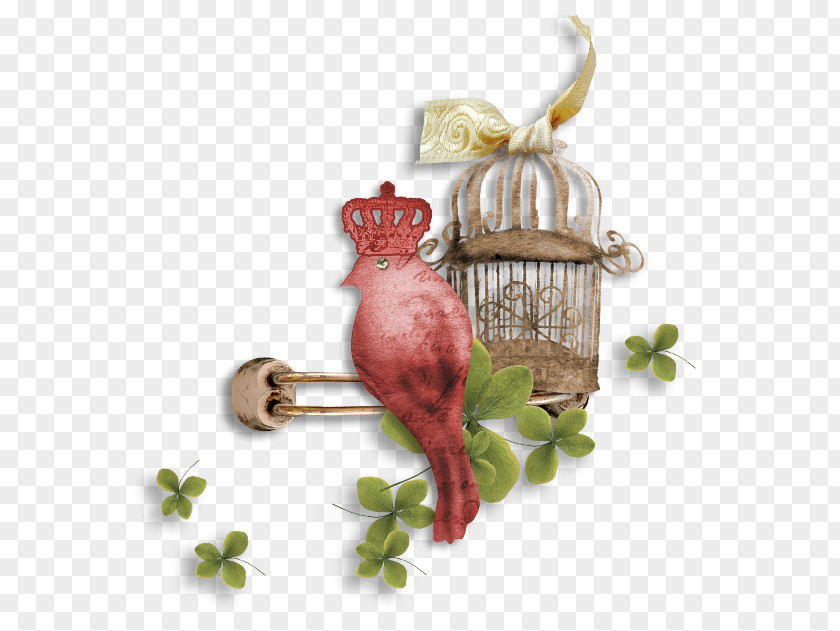 Cage Bird Plant Metal PNG