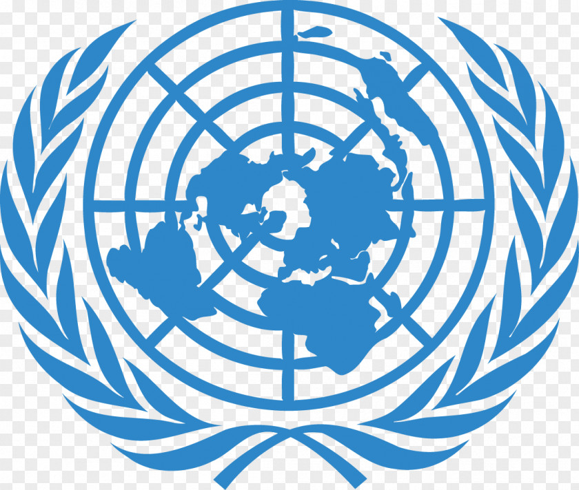 Flour United Nations Headquarters Flag Of The Secretary-General Organization PNG