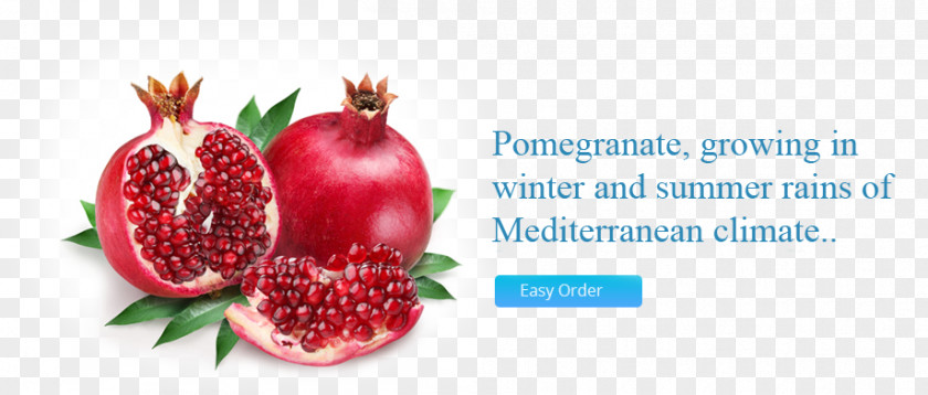 Fresh Pomegranate Juice Fruit Salad PNG