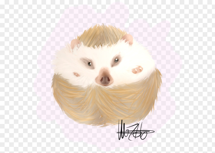 Hedgehog Watercolor Snout Fur Eyelash PNG