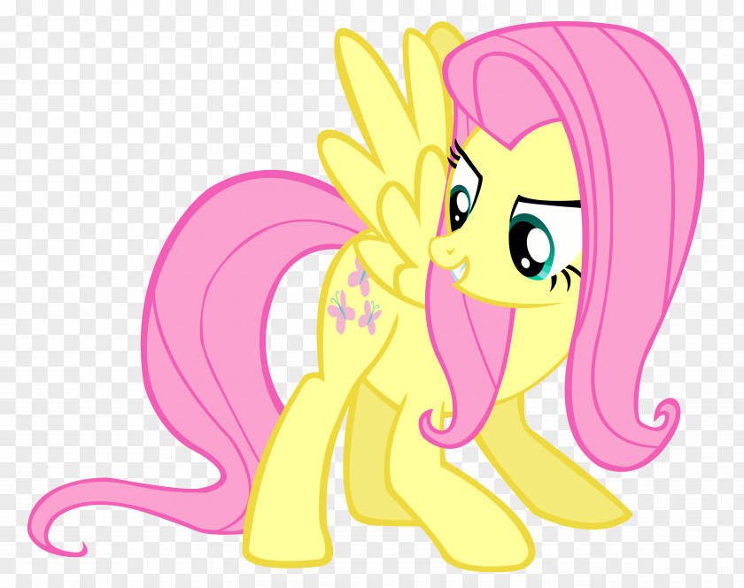 My Little Pony Twilight Sparkle Rainbow Dash Horse PNG