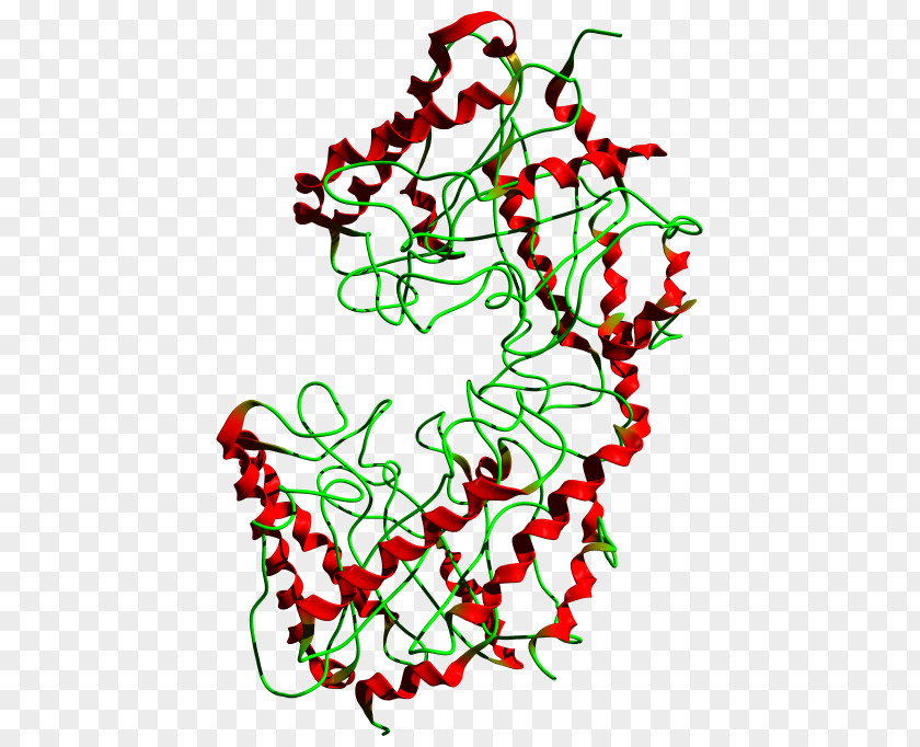 Cellulase Cellulose Enzyme Endogeny Active Site PNG