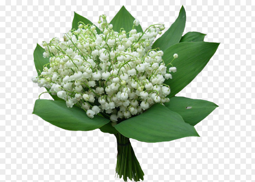Flower Bouquet Convallarias Lily Of The Valley Image PNG
