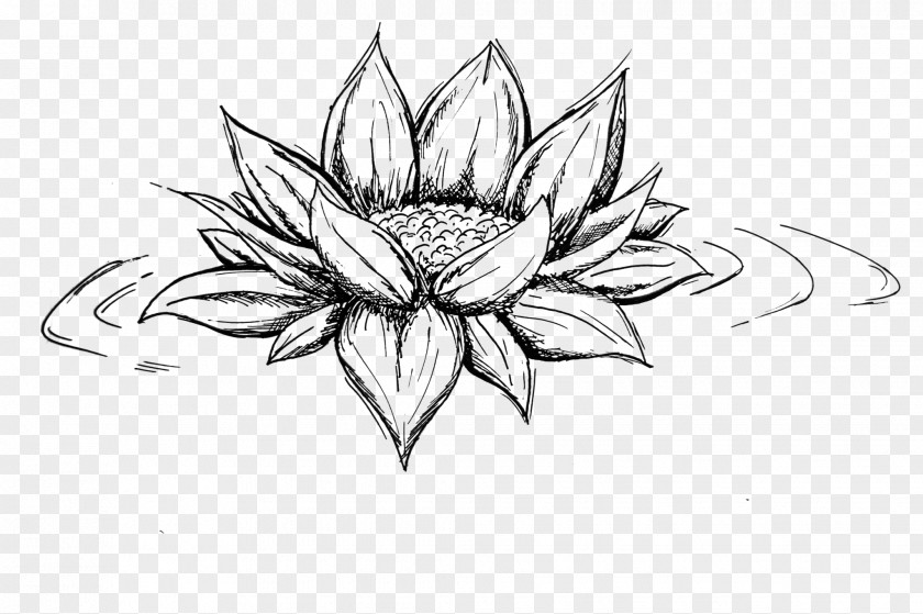Flower Line Art Symmetry Sketch PNG