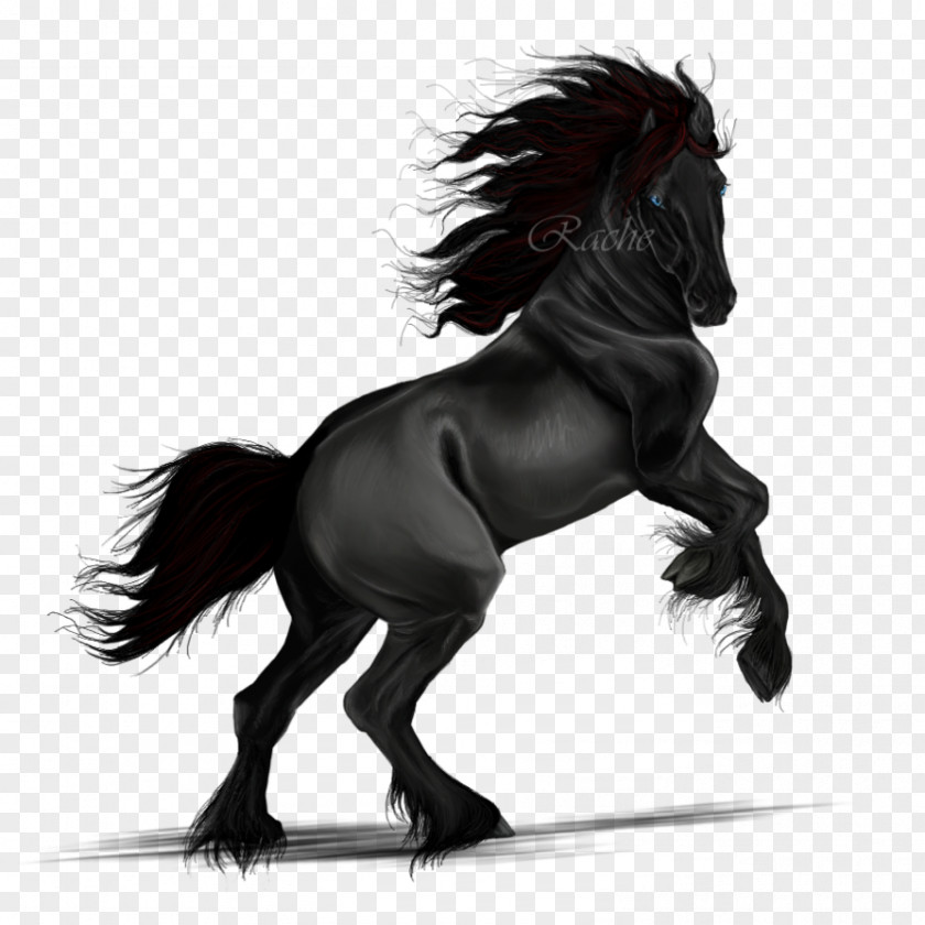 Mustang Mane Pony Art Stallion PNG