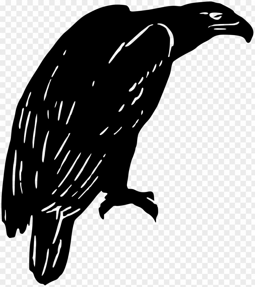 Silhouette Beak Bird Clip Art PNG