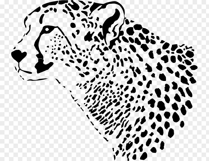 Steppe Leopard Cheetah Tiger Felidae PNG