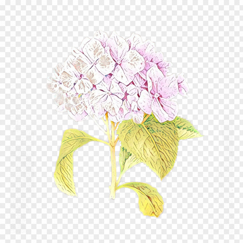 Artificial Flower Cornales PNG