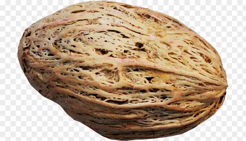 Beautiful Brown Walnut Rye Bread PNG