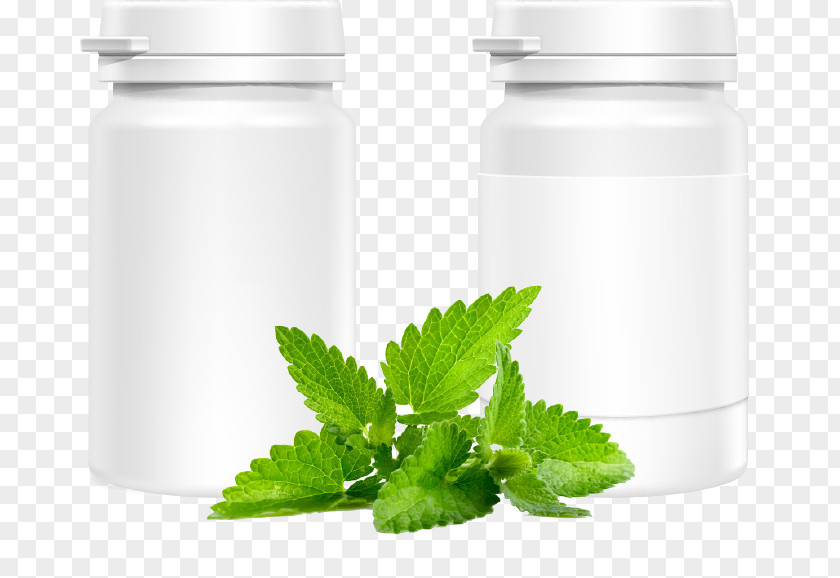 Bottles Of Medicine Bottle Leaves Mint Flavor Herb Food Extract PNG