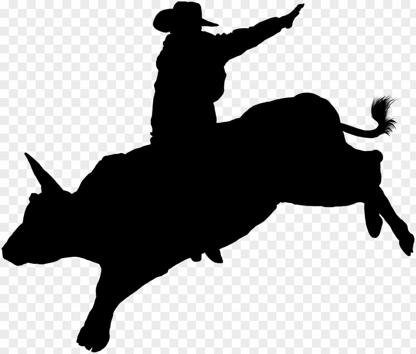Bull Cattle Riding Professional Riders Rodeo Decal PNG