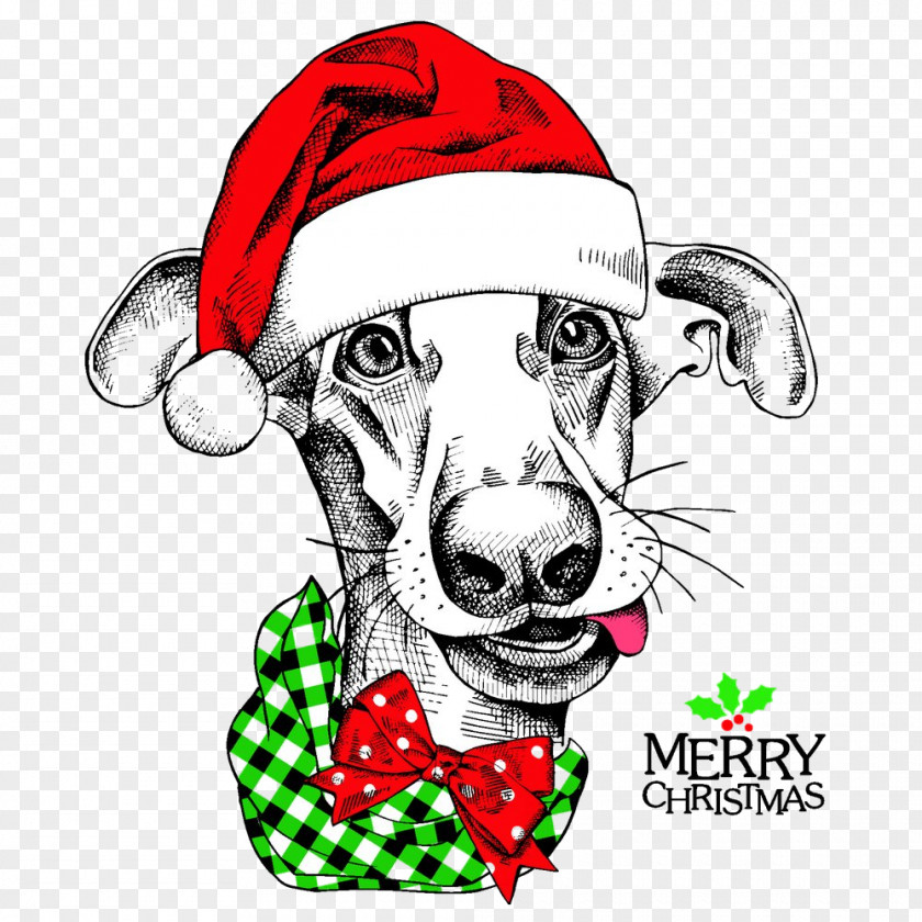 Christmas Sporting Group Dog Whippet Nose Snout Italian Greyhound PNG