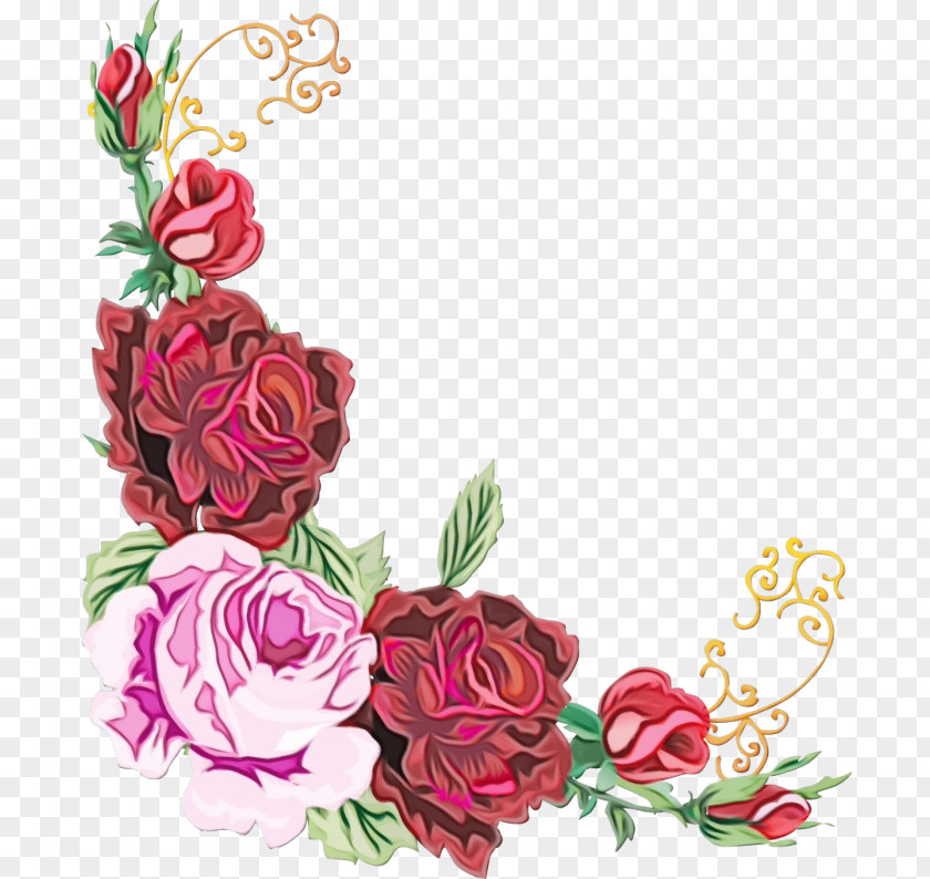 Petal Rose Order Watercolor Pink Flowers PNG
