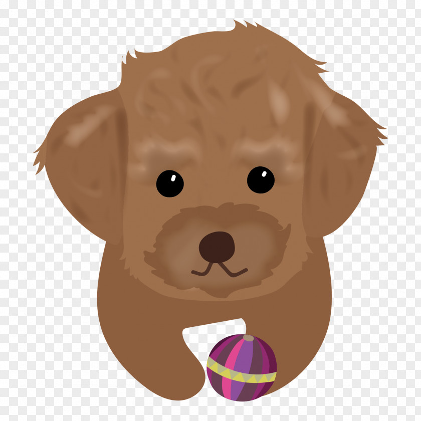 Puppy Dog Breed Sporting Group Poodle Whiskers PNG