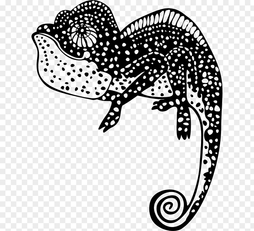 Chameleon Chameleons Lizard Paper Drawing Clip Art PNG