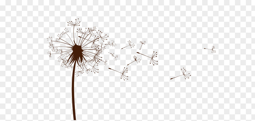 Dandelion Euclidean Vector Design Graphics Flowering Plant PNG