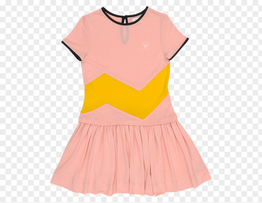 Dress Pink M Neck Sleeve Collar PNG