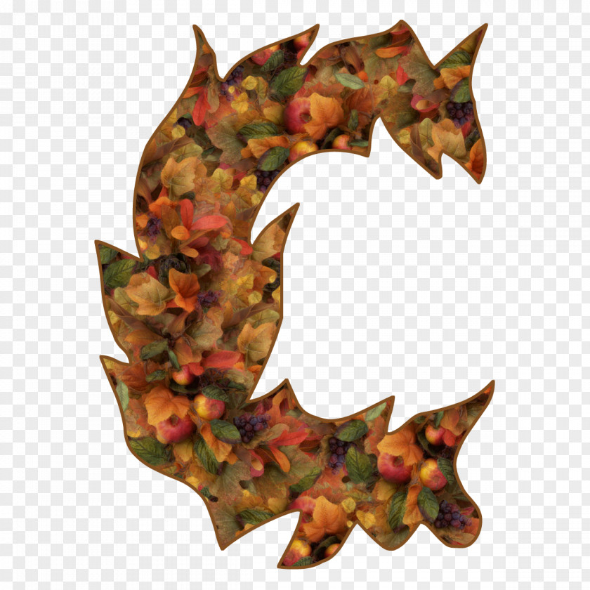 Letter C Leaf PNG