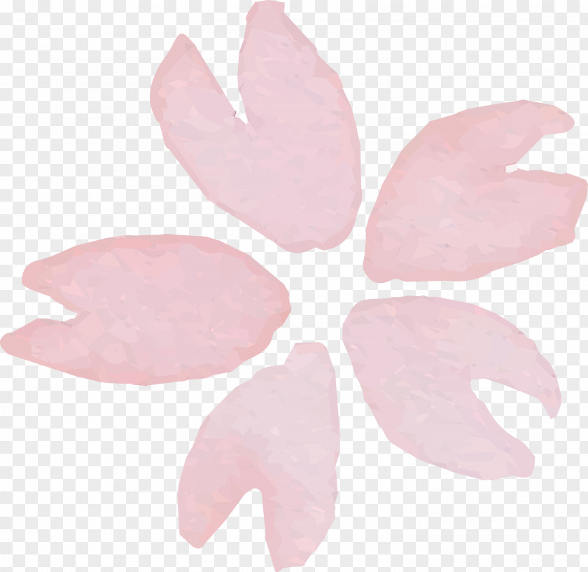 Pink Leaf Petal Plant Flower PNG