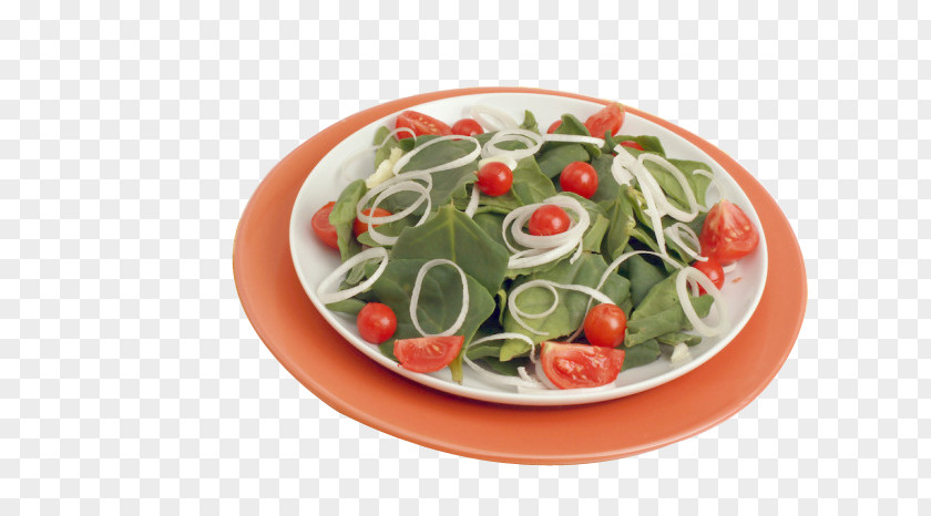 Salad Spinach Vegetable PNG