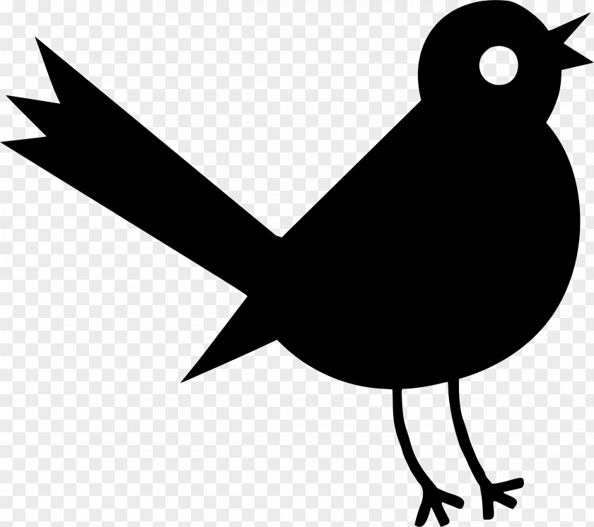 Blackandwhite Tail Bird Silhouette PNG