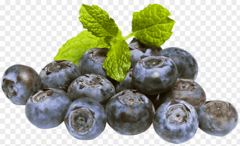 Blueberry Desktop Wallpaper Fruit PNG