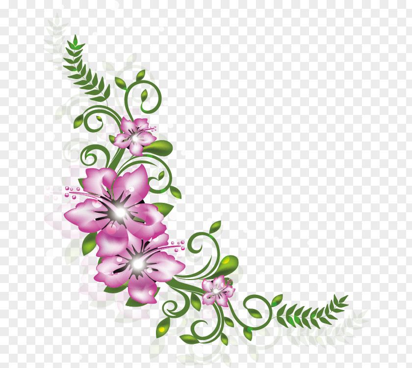 Diet Floral Decoration Design Illustration PNG