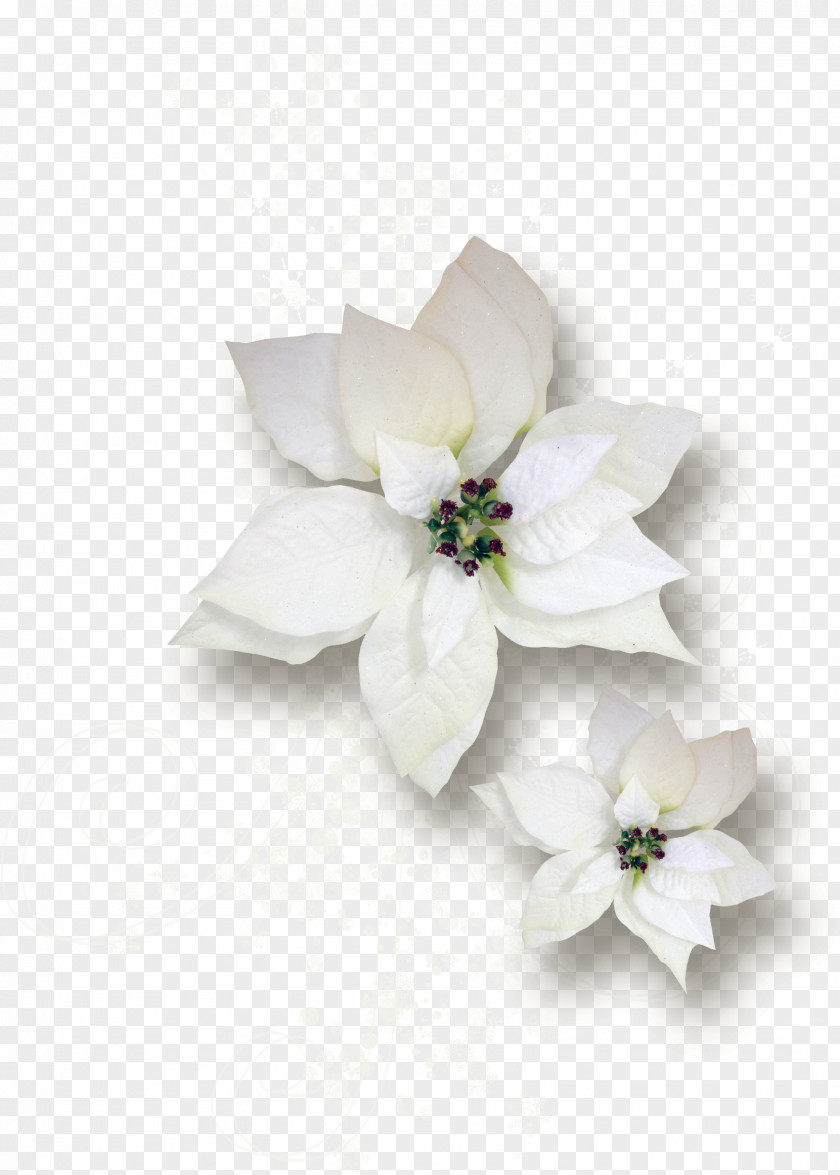 Flower Branch Cut Flowers Gardenia Floral Design Floristry PNG