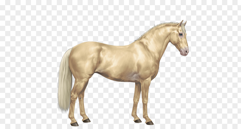 Horse Gold Mane Mustang American Paint Arabian Mare PNG