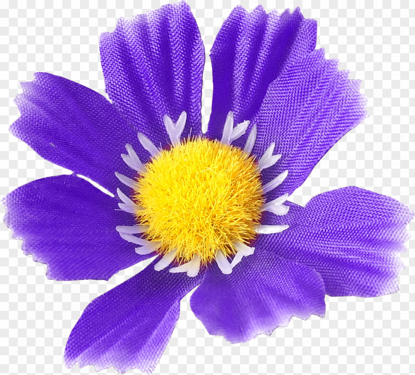 Lilac Flower Religion Chrysanthemum Daisy Family Prayer Annual Plant PNG