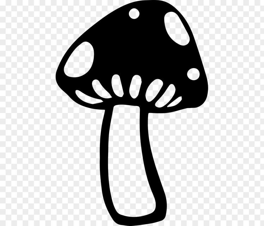 Mushroom Cloud Fungus Common Clip Art PNG