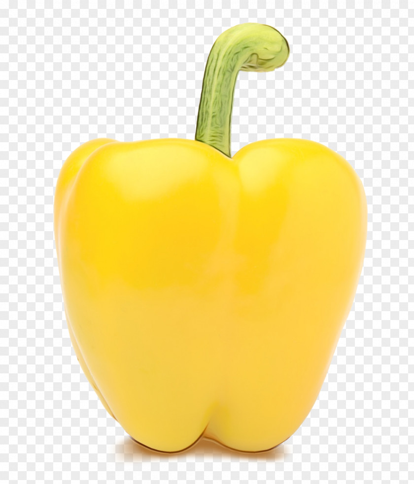 Paprika Plant Bell Pepper Yellow Peppers And Chili Pimiento PNG