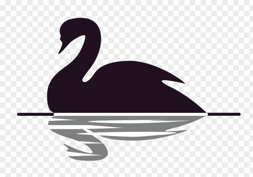 The Black Swan: Impact Of Highly Improbable Swan Theory Vedanta Clip Art PNG