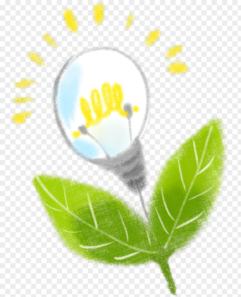 Hand Drawn Bulb Incandescent Light Lighting PNG