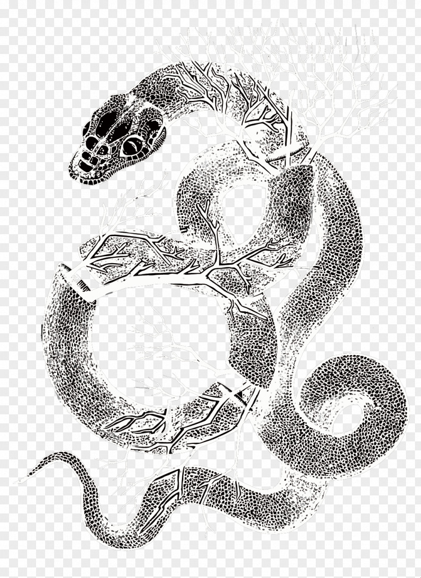 Vector Snake Rattlesnake Visual Arts Black And White Serpent Drawing PNG