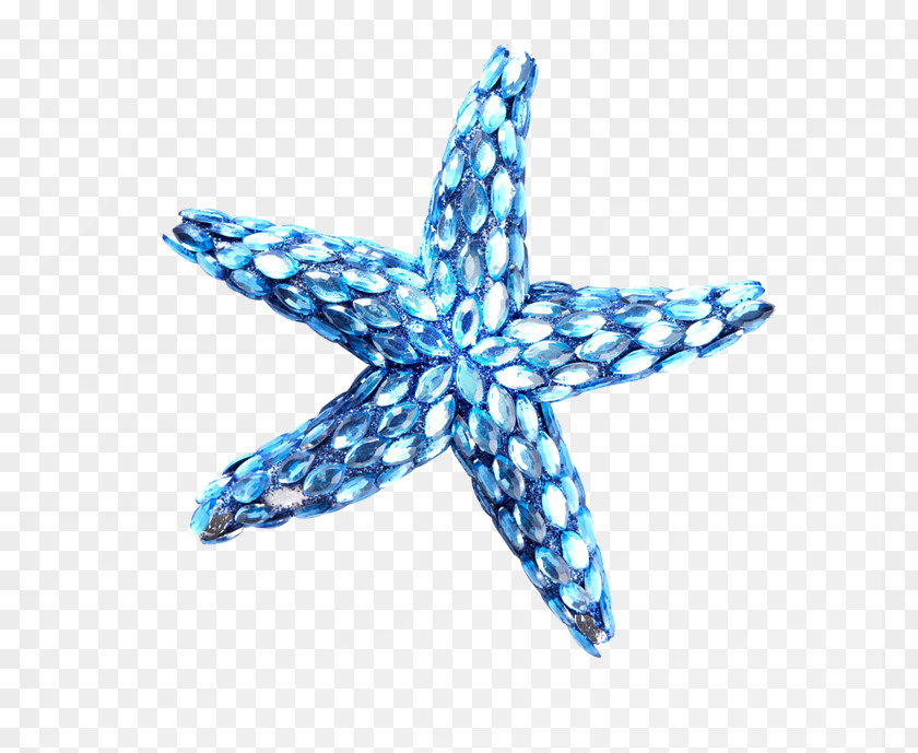 Cartoon Starfish Blue PNG