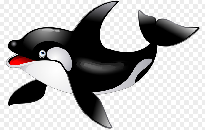 Cute Dolphin Killer Whale Clip Art PNG