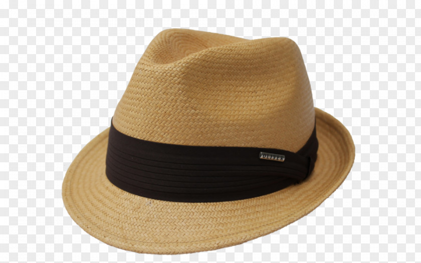 Hat Fedora Panama Cap Sombrero PNG